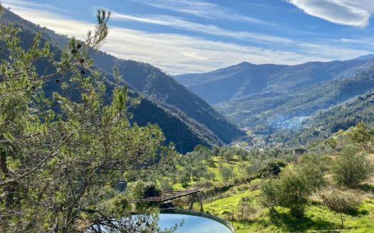 Apricale / AP 778