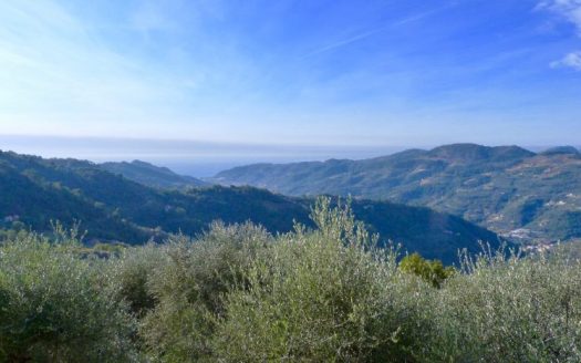 Dolceacqua – Morghe / DA 678