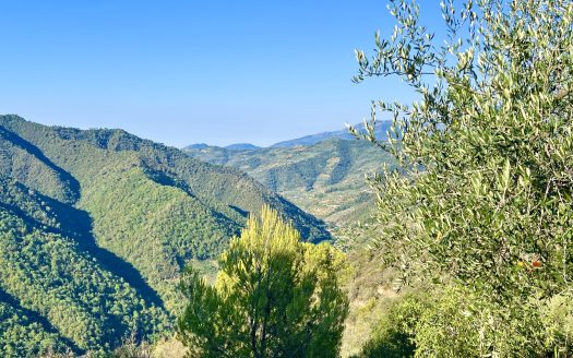 Apricale / AP 862