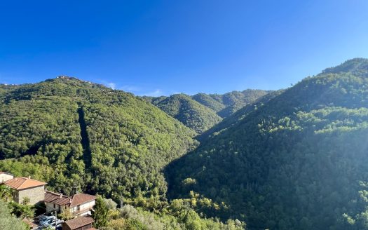 Apricale / AP 868