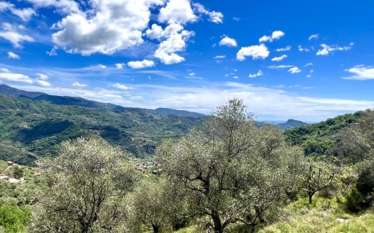 Dolceacqua / DA 908