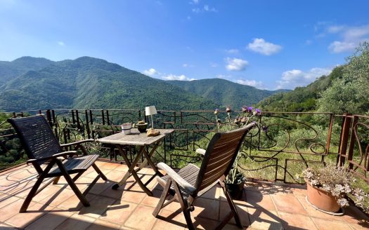 Villa for sale in Castel Vittorio / CV 924