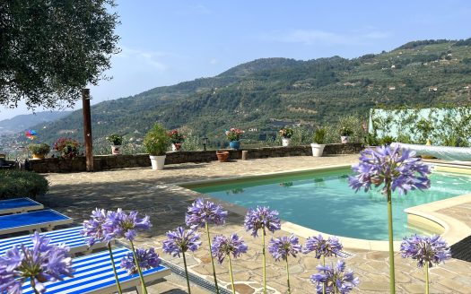 Villa for sale in Dolceacqua / DA 923