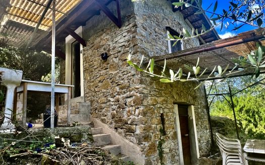 Old stone house and olive grove for sale in Perinaldo / PE 925