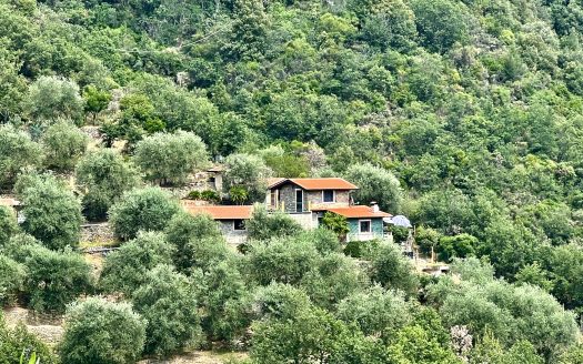 Country house for sale in Apricale / AP 915