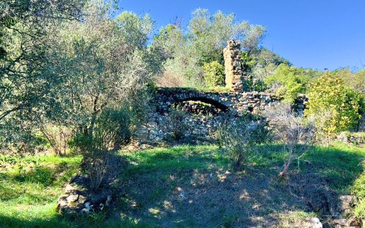 Plot of land for sale in Dolceacqua / DA 932