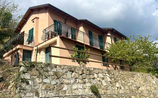 Villa for sale in Dolceacqua / DA 934