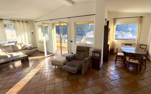 Apartment for sale in Dolceacqua / DA 947