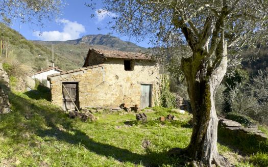 Rural property for sale in Apricale / AP 961