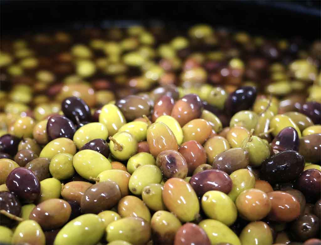 Le olive vengono lavate