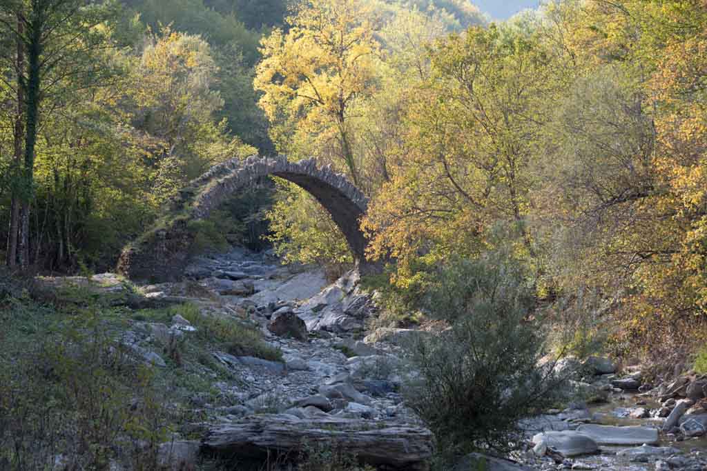 Il bosco vicino a Rezzo in autunno