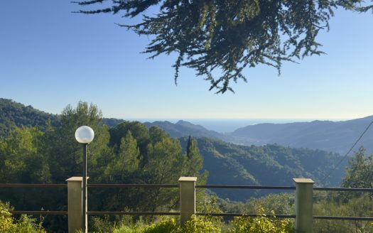 Country villa for sale above Dolceacqua / DA 988