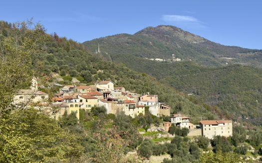 Apartment for sale outside Pieve di Teco / IM 985