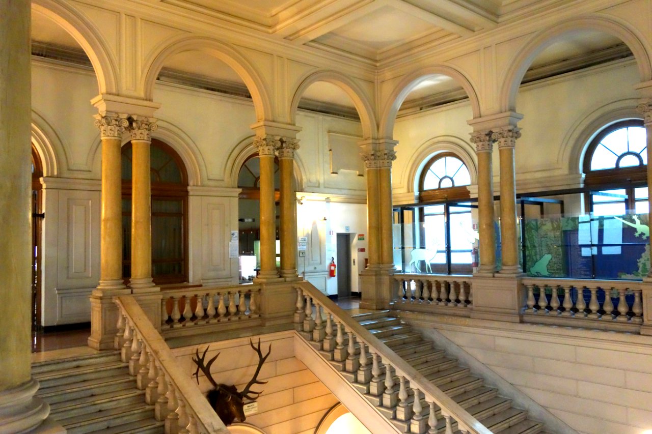 Museo Civico di Storia Naturale Giacomo Doria